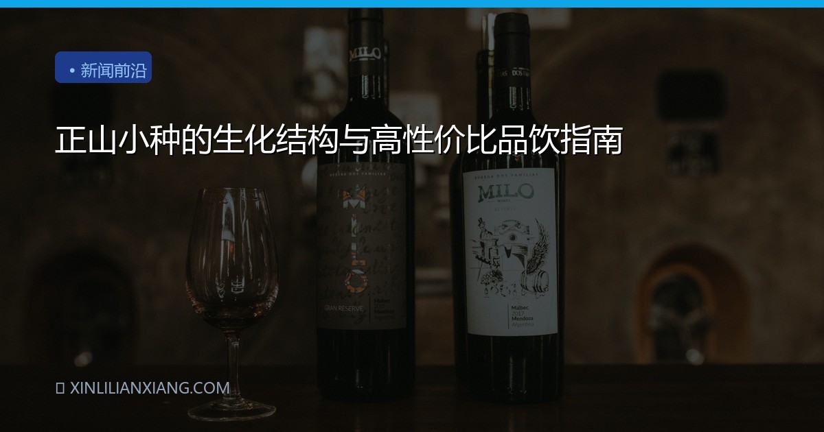 正山小种的生化结构与高性价比品饮指南